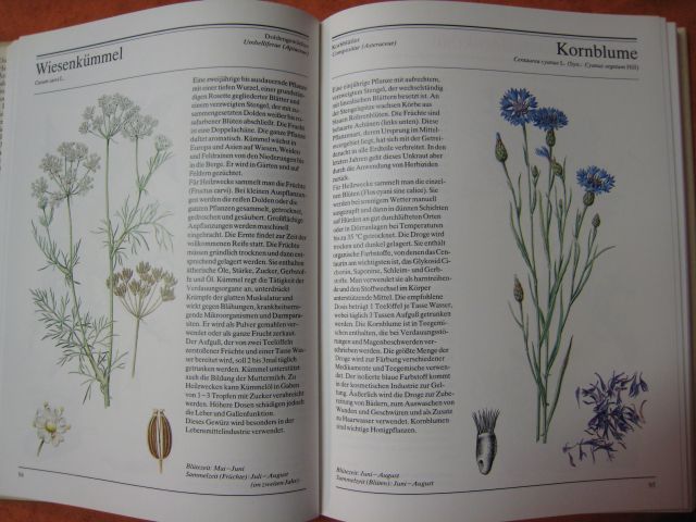 Velká přírodní lékárna sestry Bernardiny - německy