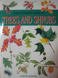 Encyklopedie STROMY A KEŘE - anglicky