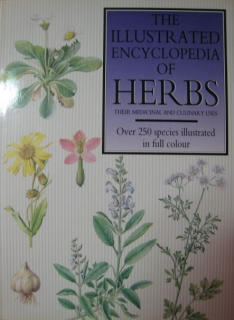 Encyklopedie bylin - anglicky